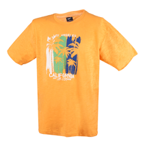 Remera Spt Hombre California Manga Corta Amarilla