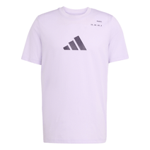 Remera Adidas Hombre Category Graphic